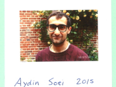aydin-soei-2015